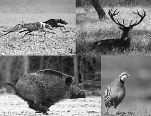 Nuevo Documento de Microsoft Publisher